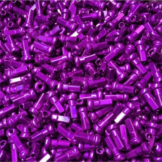 Purple / Lila